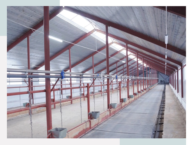 Строительство коровников в Сланцах от 620 руб.