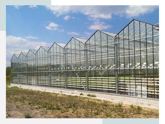 Строительство теплиц в Сланцы от 620 руб. за м²