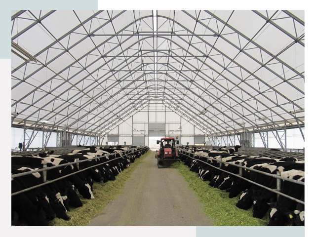 Тентовые коровники в Сланцах от 620 руб. - Надежно и доступно